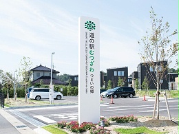 千叶智慧养生小镇标识导视系统设计