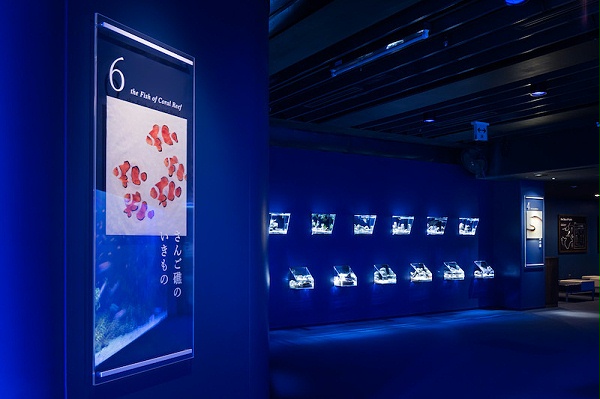 京都水族馆标识导视系统设计7