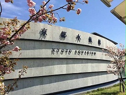 京都水族馆标识导视系统设计