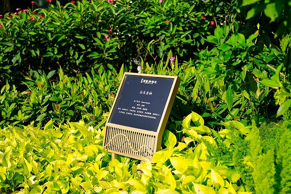 城建栖湖院花草解说牌