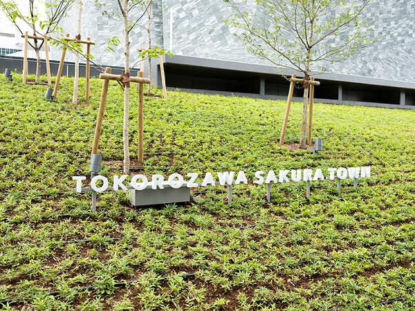 所泽樱花城标识导视系统设计2