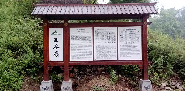 领跑标识带您了解旅游景区标识牌的木料选择