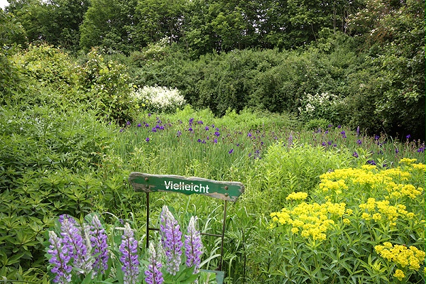 霍姆布洛伊希岛博物馆位于德国诺伊斯，既是一座博物馆，也是一个公园，将艺术和自然融为一体，给人们带来自然与艺术的双重享受。NTK设计公司受邀为其进行标识导视系统设计5