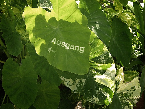 霍姆布洛伊希岛博物馆位于德国诺伊斯，既是一座博物馆，也是一个公园，将艺术和自然融为一体，给人们带来自然与艺术的双重享受。NTK设计公司受邀为其进行标识导视系统设计7