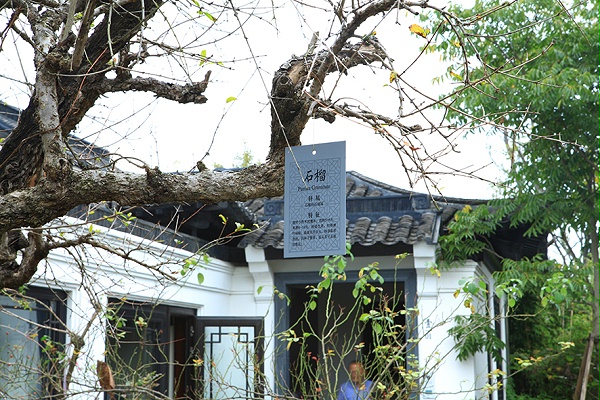 绿城安吉桃花源标识导视设计9