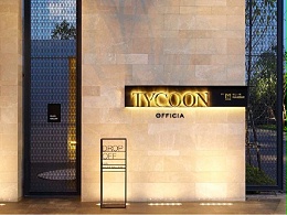 Tycoon Officia社区标识导视系统设计