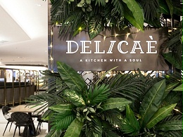 Delicae美食广场标识导视系统设计
