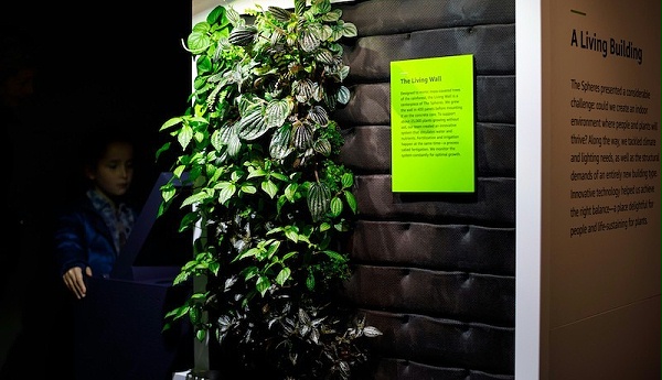 亚马逊公共访客中心Understory标识导视系统设计1