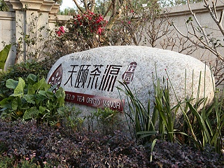 云南白药天顾茶园标识导视系统赏析