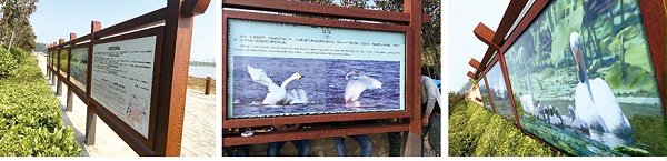 三门峡市天鹅湖湿地公园风景区标识导视系统规划设计
