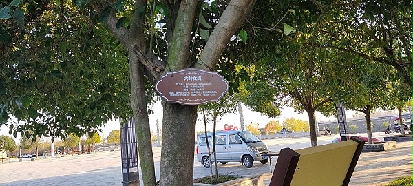 全域旅游标识2
