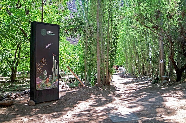 Likandes教育公园标识导视设计1