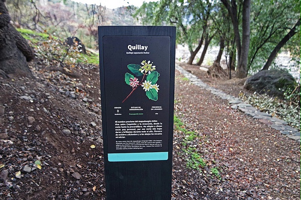 Likandes教育公园标识导视设计3