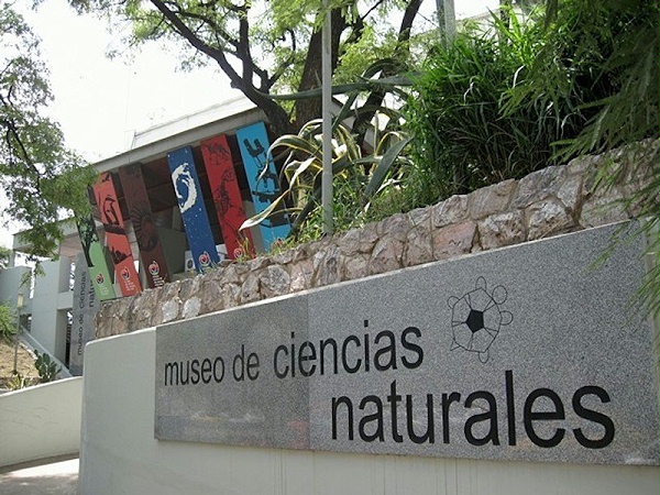 国家自然科学博物馆导视系统设计1