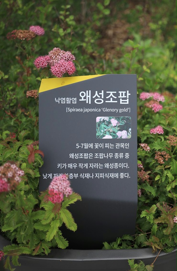 广桥巷街区标识导视系统设计7