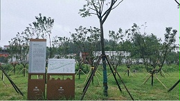 浅谈公园标识牌的建设