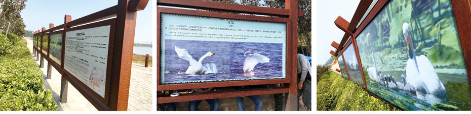 三门峡市天鹅湖湿地公园风景区标识导视系统规划设计